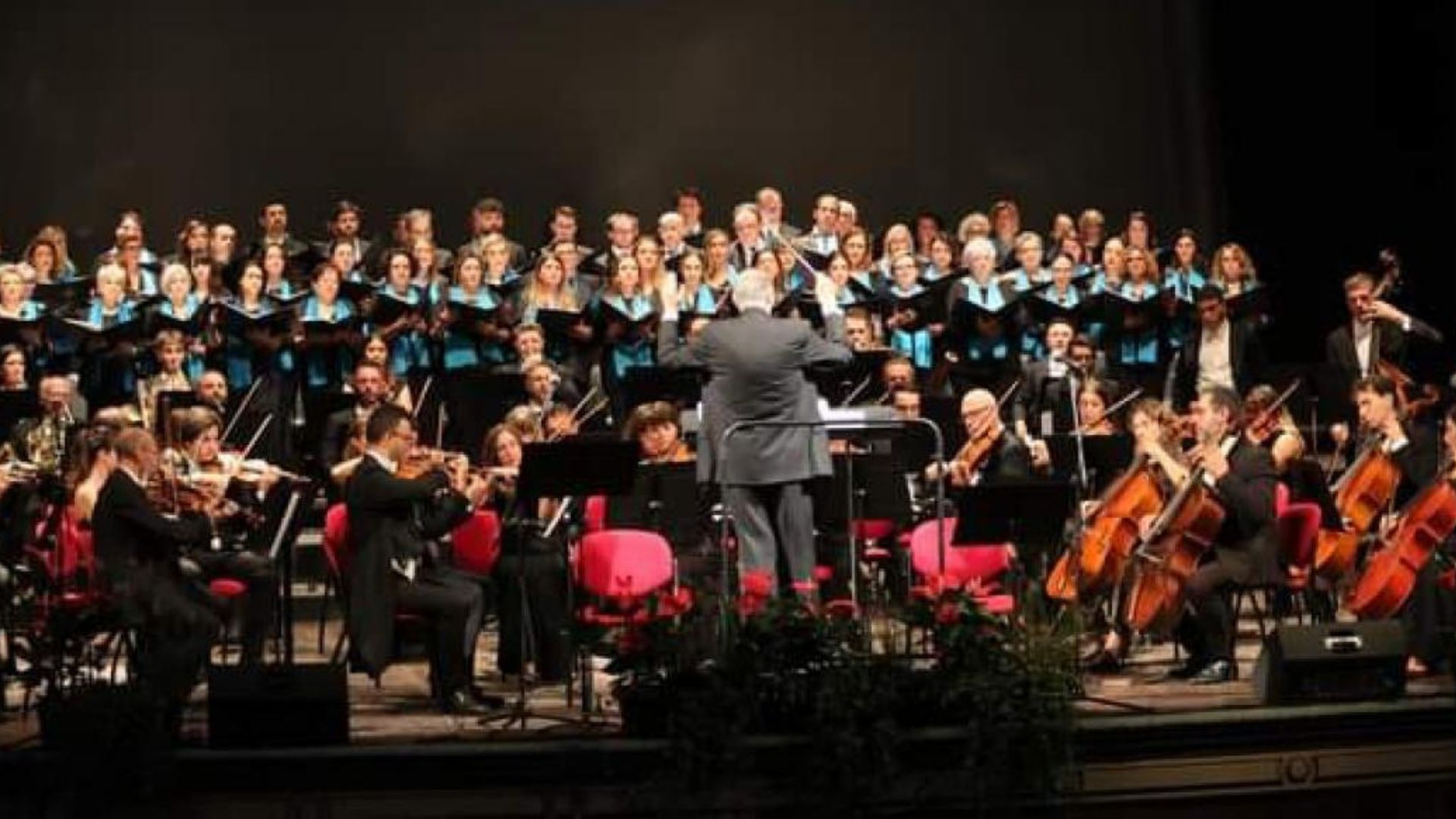 Domenica il Concerto di Natale nella Cattedrale di Salerno