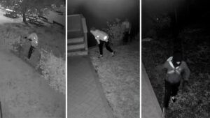 Cilento, i ladri rovivano le feste di Natale: ecco come agiscono in questo periodo dell’anno