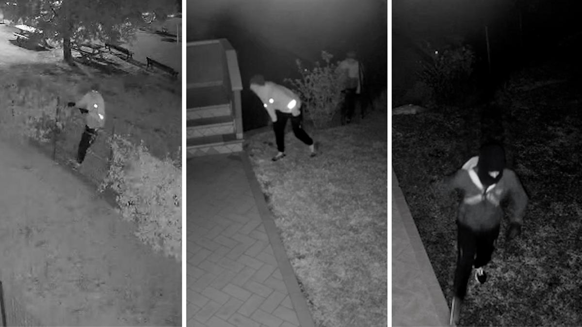 Cilento, i ladri rovivano le feste di Natale: ecco come agiscono in questo periodo dell’anno