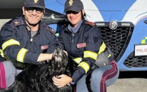 Cane in mezzo al traffico sull’A2, automobilisti in allarme: salvato dalla Polstrada