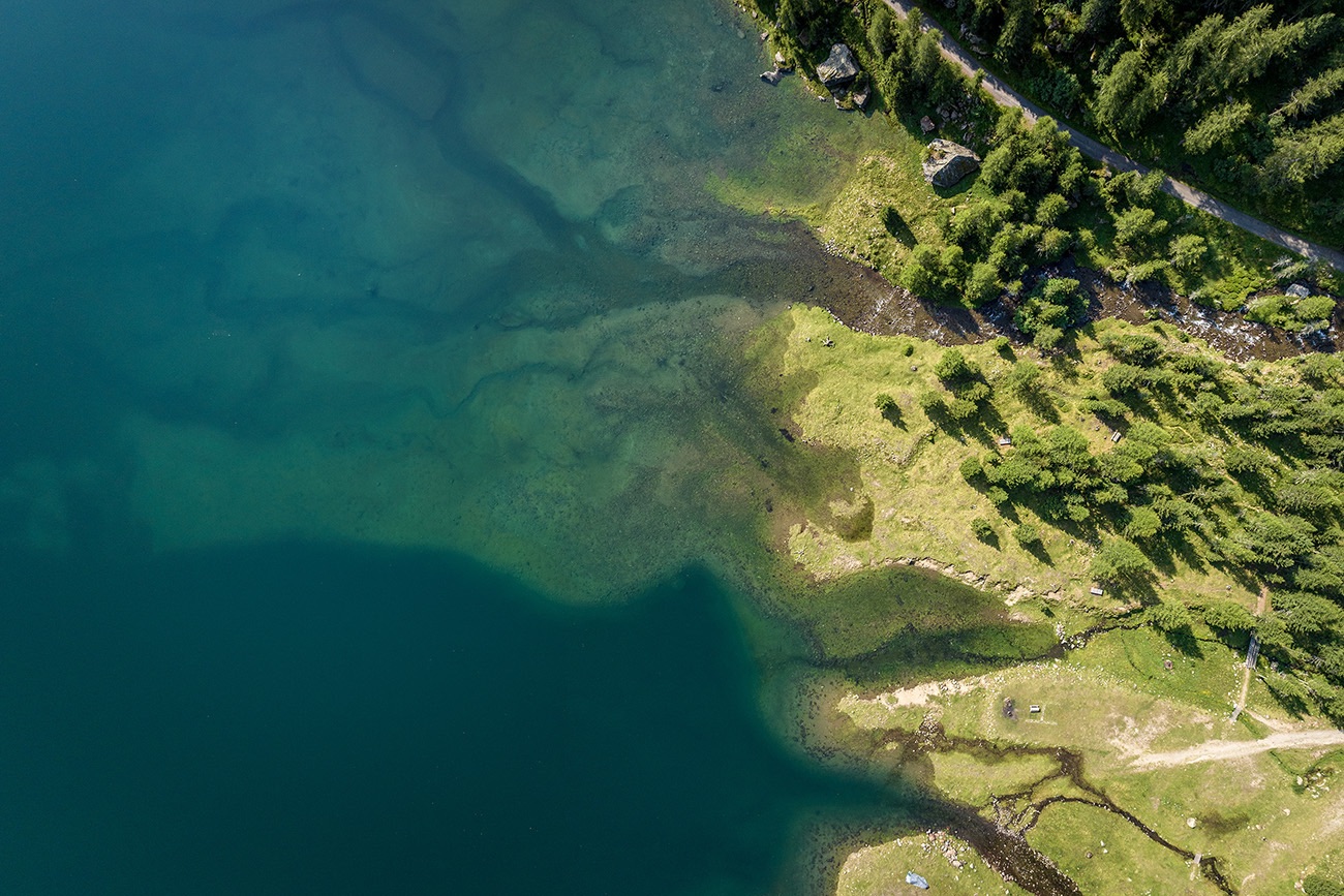 Transizione ecologica: il Pniec italiano tra sfide, investimenti e obiettivi al 2030