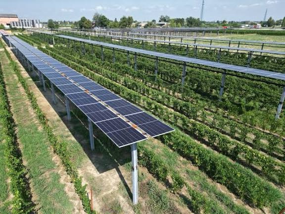 Sud Italia: svolta agrivoltaica tra sviluppo energetico e tutela del territorio