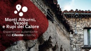 Il progetto Monti Alburni, Vesole e Rupi del Calore fa tappa a Felitto con “Luci e mercatini di Natale”