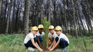 Domani a Capaccio Paestum il convegno “Rigeneriamo la pineta” con le proposte di Legambiente”