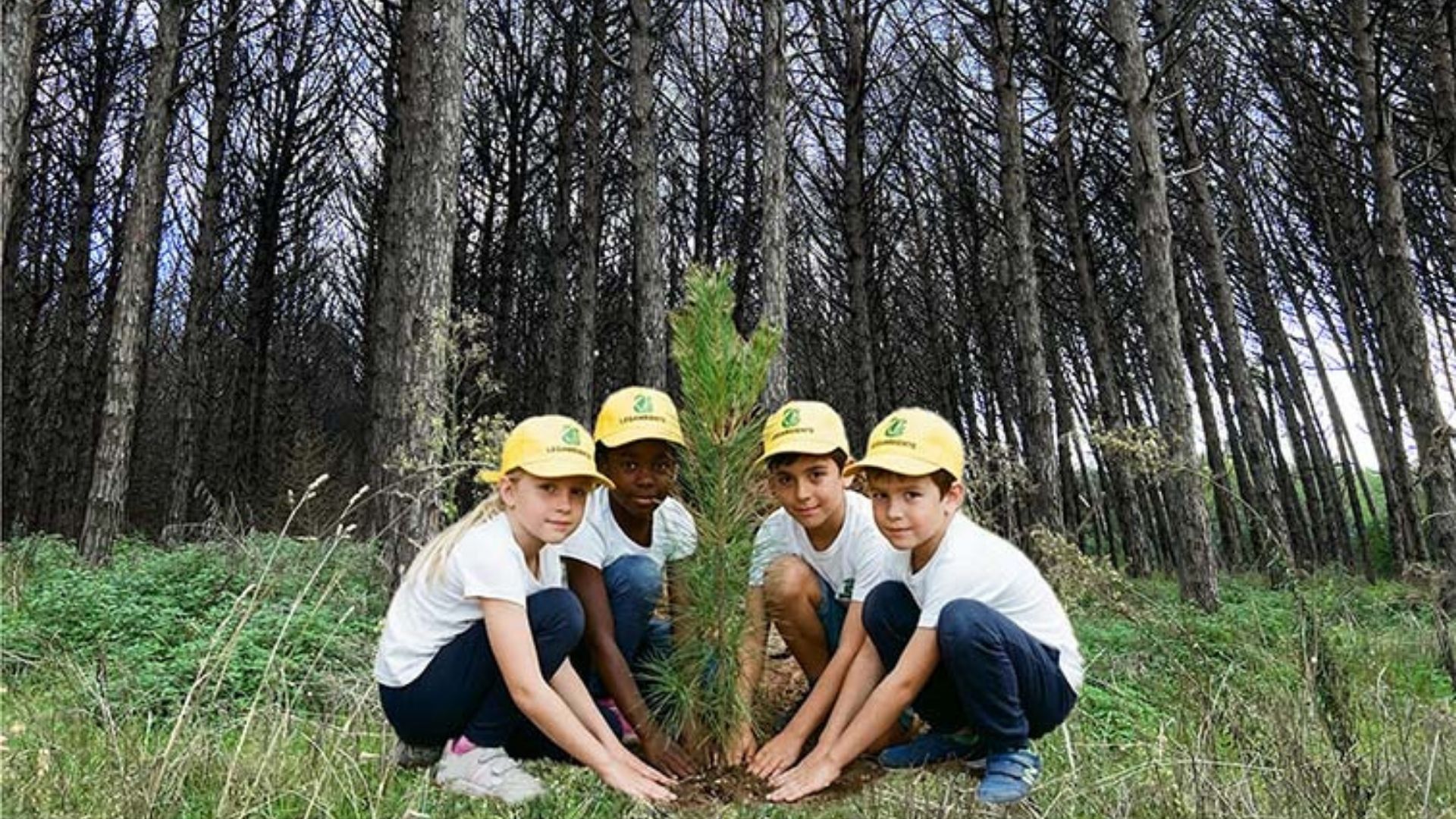 Domani a Capaccio Paestum il convegno “Rigeneriamo la pineta” con le proposte di Legambiente”
