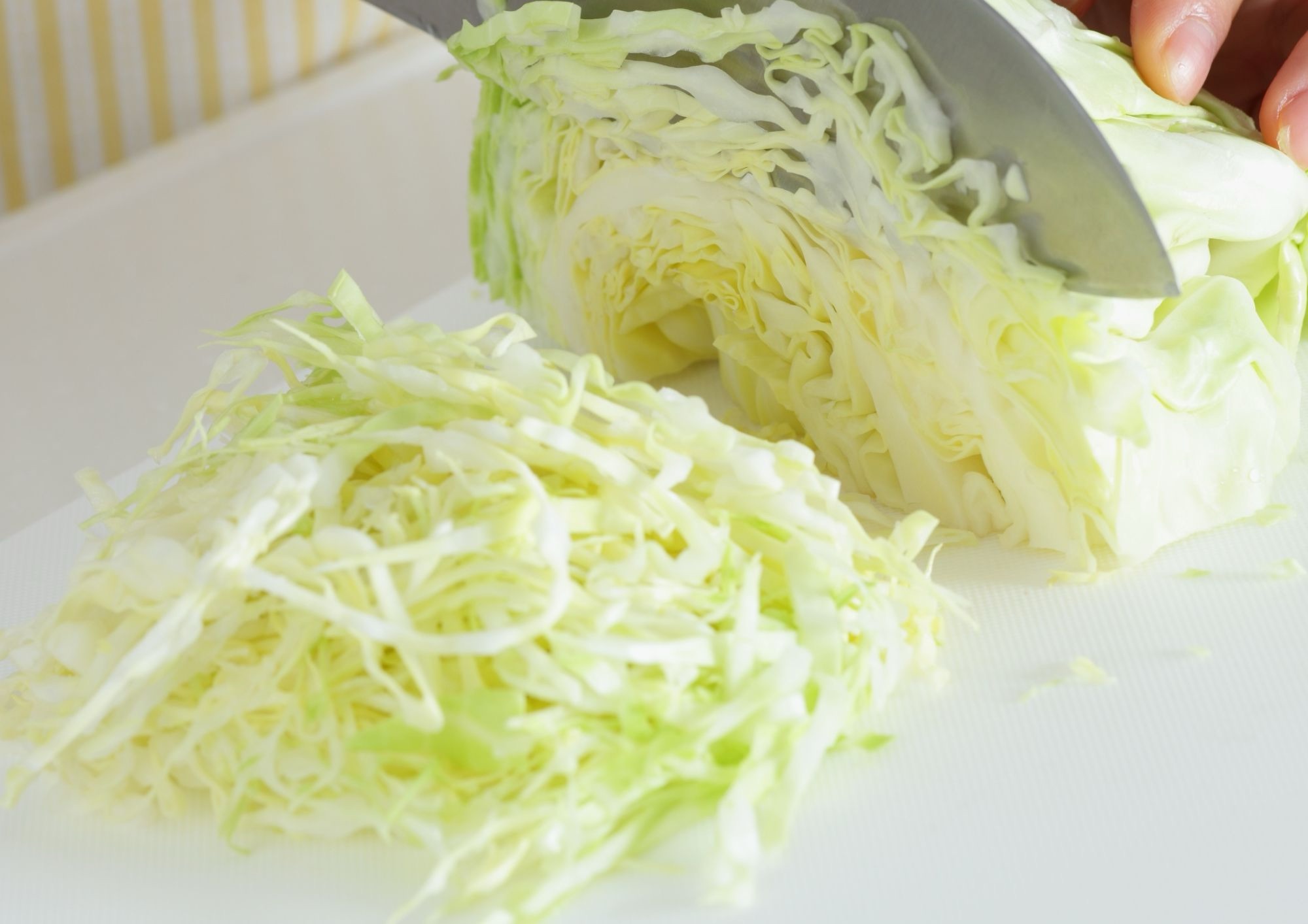 La verza d’inverno: tre ricette del Sud che raccontano la cucina campana