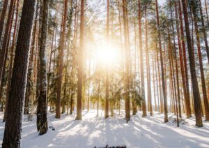 Solstizio d’inverno, la notte più lunga che segna il ritorno della luce