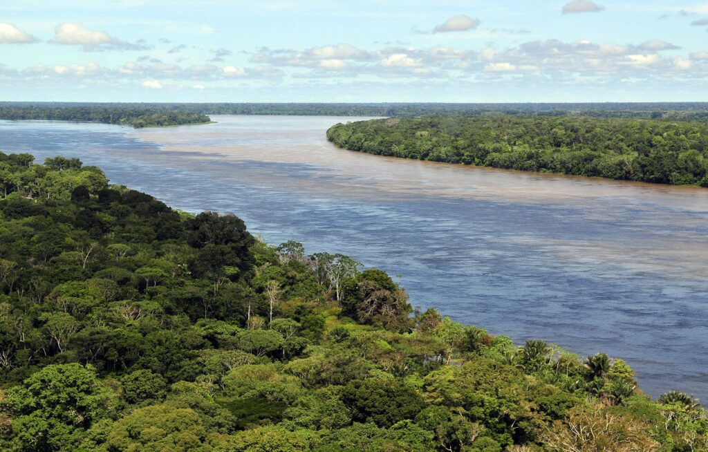 Foreste che spariscono: Amazzonia e Congo tra deforestazione e biodiversità