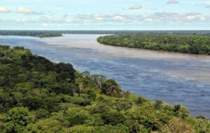 Foreste che spariscono: Amazzonia e Congo tra deforestazione e biodiversità