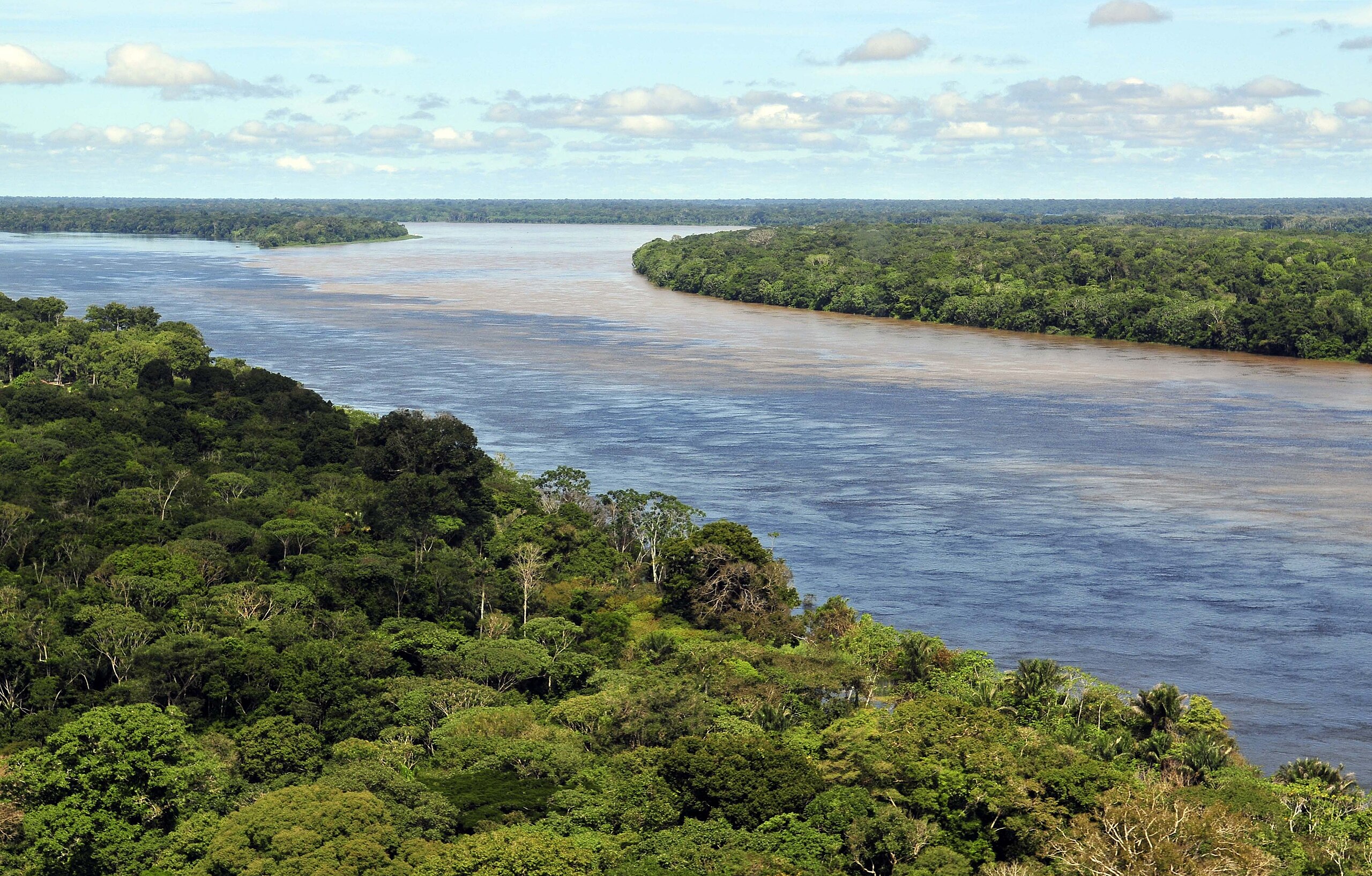 Foreste che spariscono: Amazzonia e Congo tra deforestazione e biodiversità