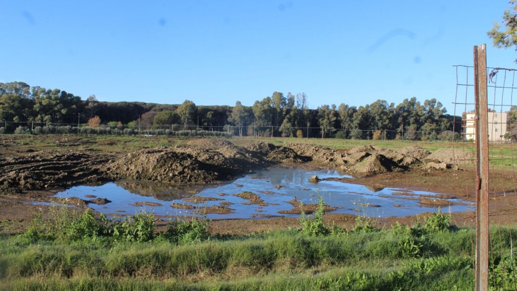 Eboli, rifiuti sepolti e campi contaminati: denunciato imprenditore agricolo