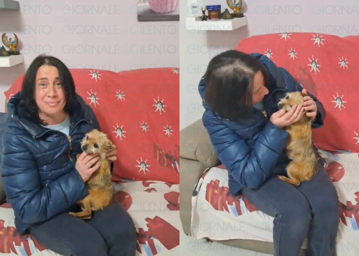 Dopo sei anni torna a casa Laika: ritrovata a Padula la notte di Capodanno