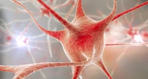 NeuroIA: quando il cervello dialoga con l’intelligenza artificiale