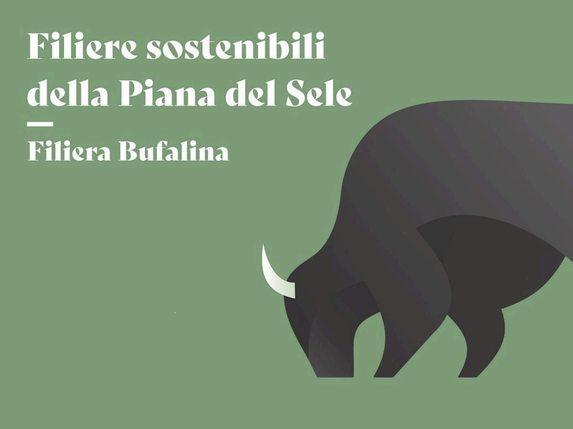 Valorizzare la cucina italiana patrimonio Unesco: Symbola e le BCC della Piana del Sele investono sulla filiera bufalina
