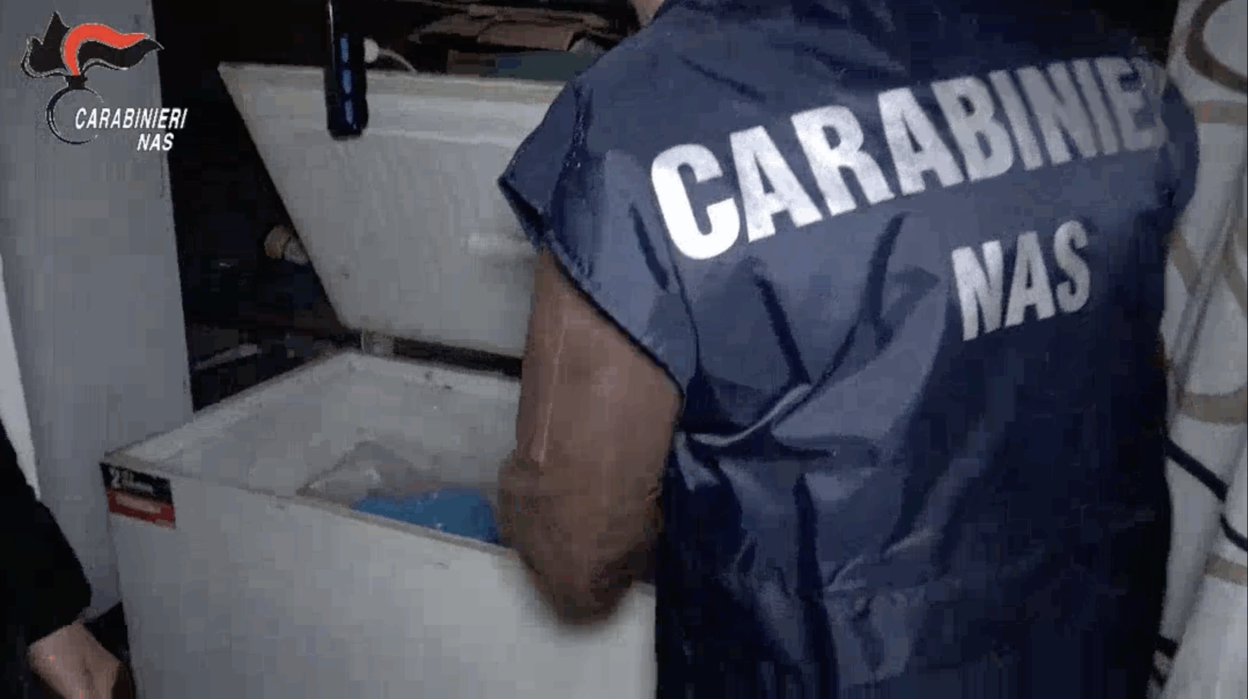 Controlli nel centro storico di Salerno: chiusi locali e minimarket, sequestrate tonnellate di alimenti