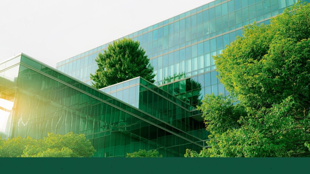 Società benefit in Campania: +47% in un anno, è la prima regione per crescita in Italia