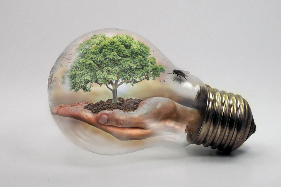 IA e ambiente: può davvero aiutarci a salvare il pianeta o consuma troppo?