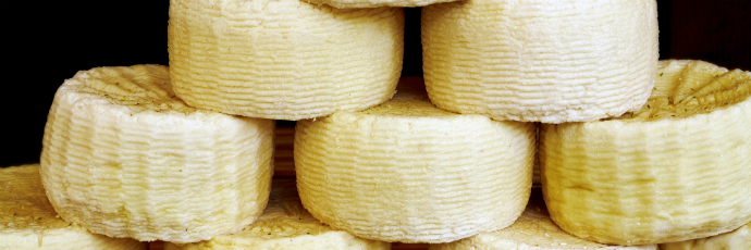 Mozzarella e latticini campani: oltre la bufala