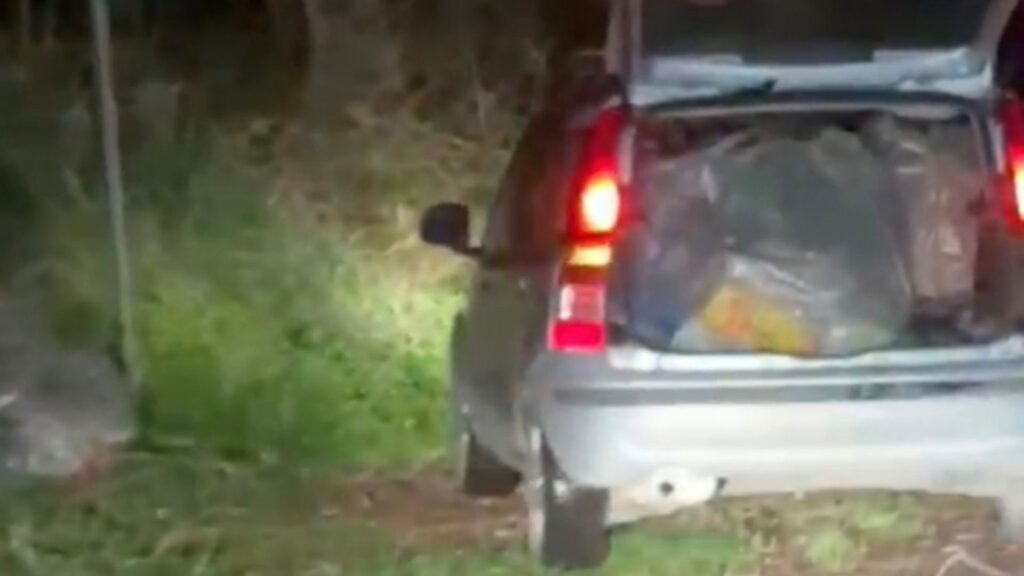 Scaricano sacchi di immondizia in un bosco a Castellabate: coppia segnalata