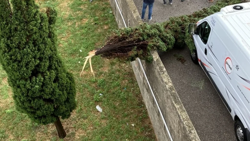 Maltempo, piana del Sele: alberi abbattuti dal forte vento. Danni e disagi