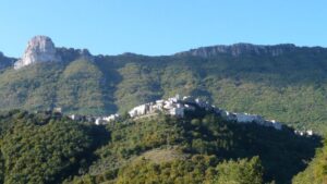 Petina piange Giuseppe D’Amato: lutto cittadino per il 29enne