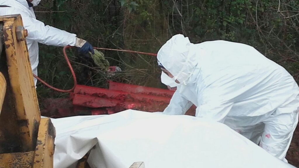 Eco Italia Lordi: rimozione e bonifica dell’amianto per la sicurezza di persone e territorio