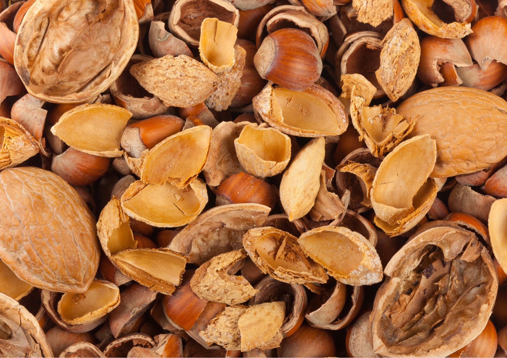 Natale sostenibile: come riciclare gusci di noci e noccioline in casa