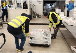 Salerno, maxi sequestro di pesce senza tracciabilità vicino al mercato ittico: 3 quintali distrutti