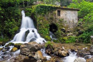 «Buen Camino» di Zalone e la nuova primavera dei cammini: quali da non perdere nel Sud Italia