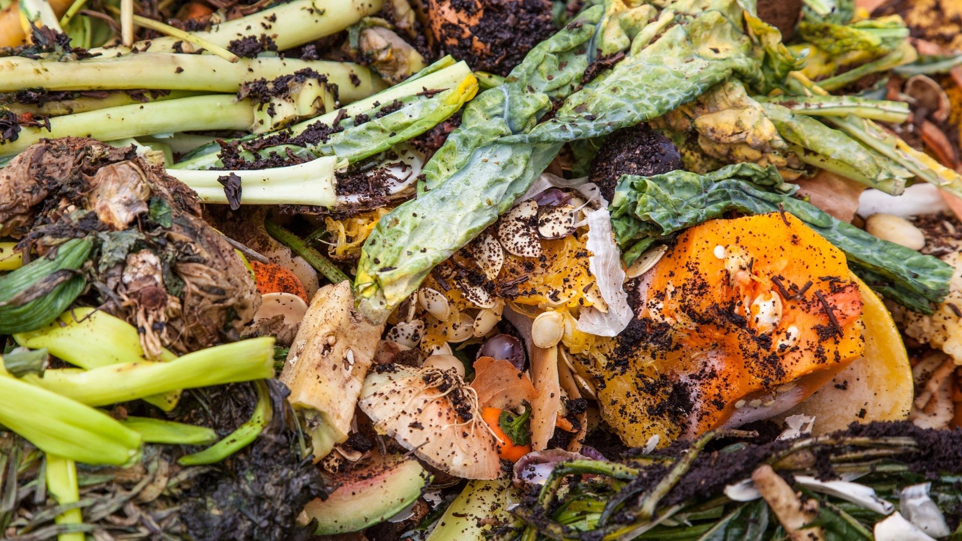 “Mangia sano, risparmia intelligente, vivi sicuro” per ridurre lo spreco di cibo
