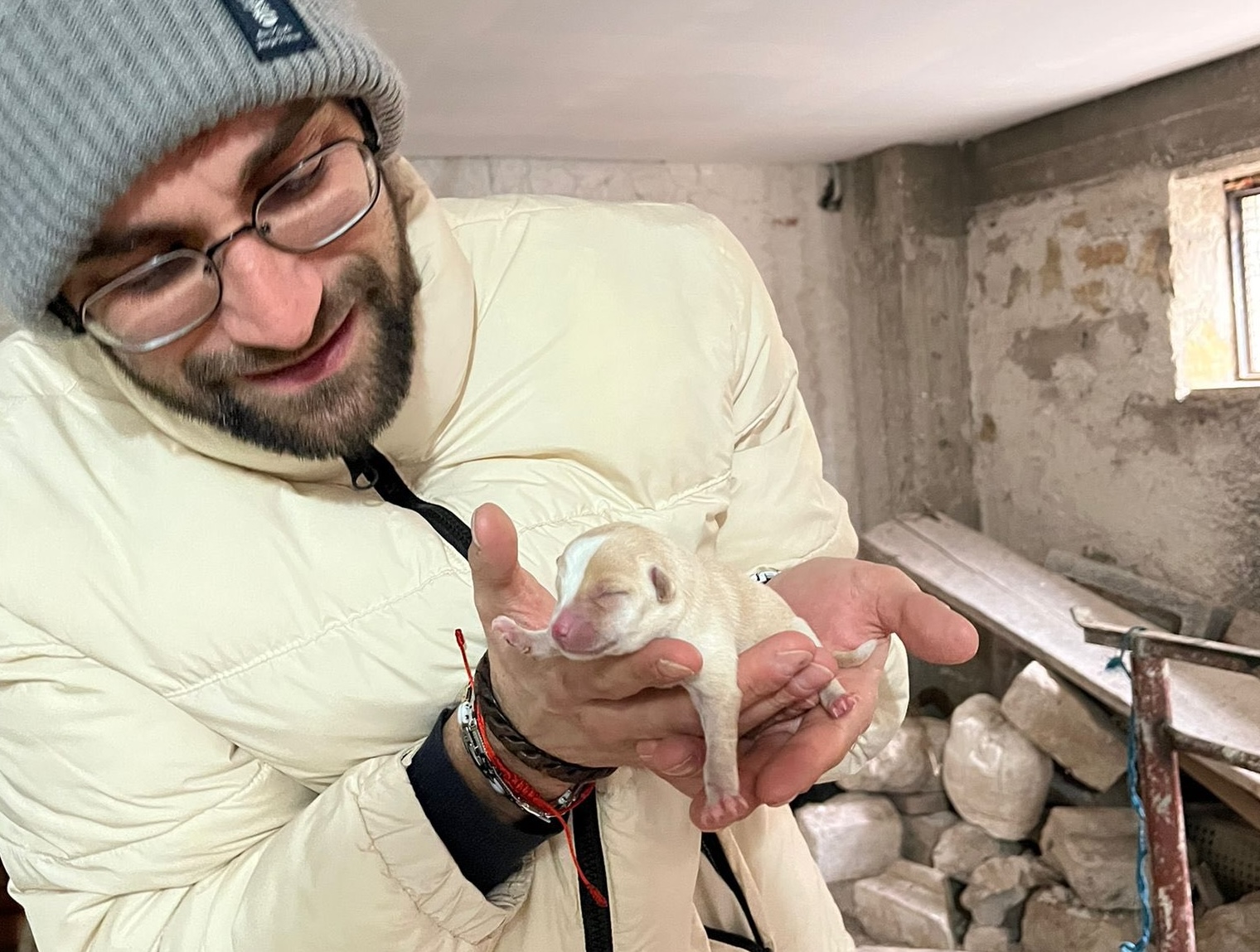 Sicignano degli Alburni, salvati 4 cuccioli di cane abbandonati in strada. Il sindaco: «L’abbandono è reato»