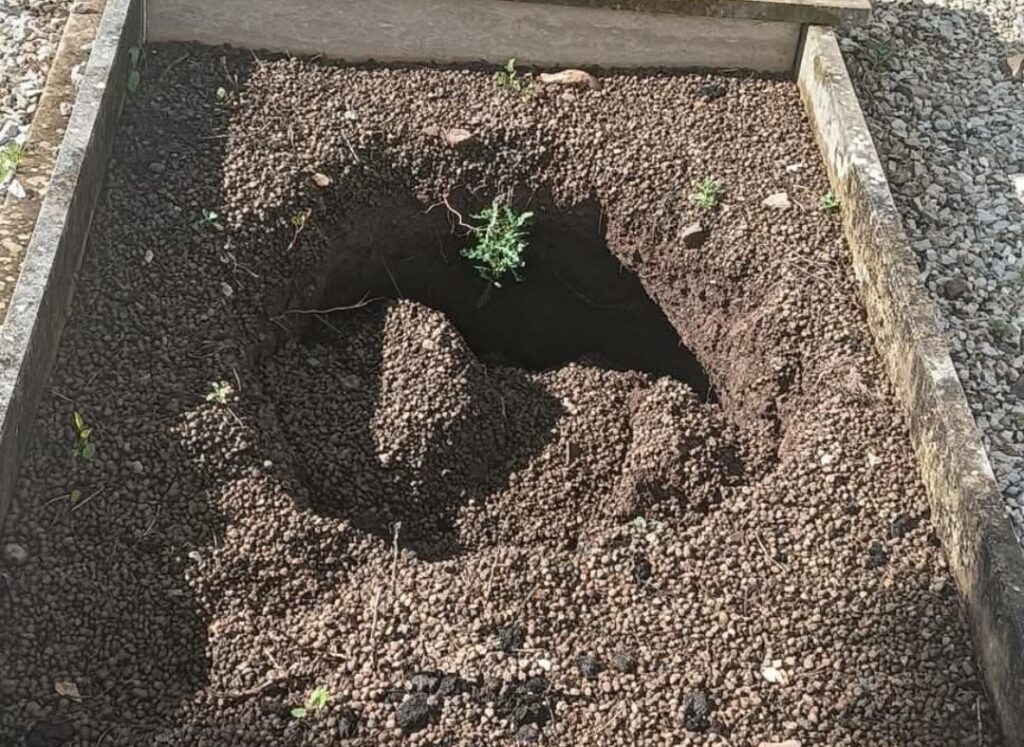 Camerota, allagamenti cimitero. Sopralluogo tecnici: «Responsabilità dei privati»