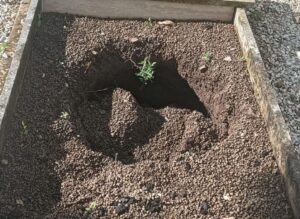 Camerota, allagamenti cimitero. Sopralluogo tecnici: «Responsabilità dei privati»