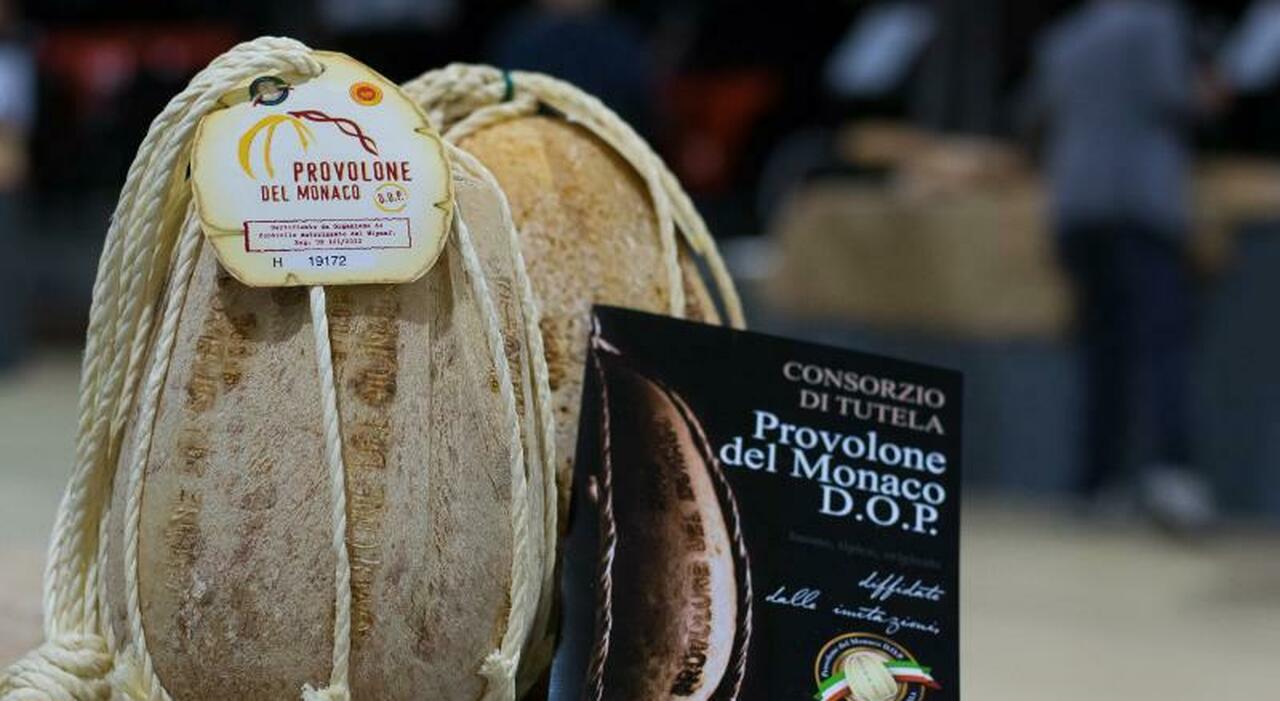 Un concorso per celebrare i vent’anni del Consorzio di Tutela del Provolone del Monaco DOP