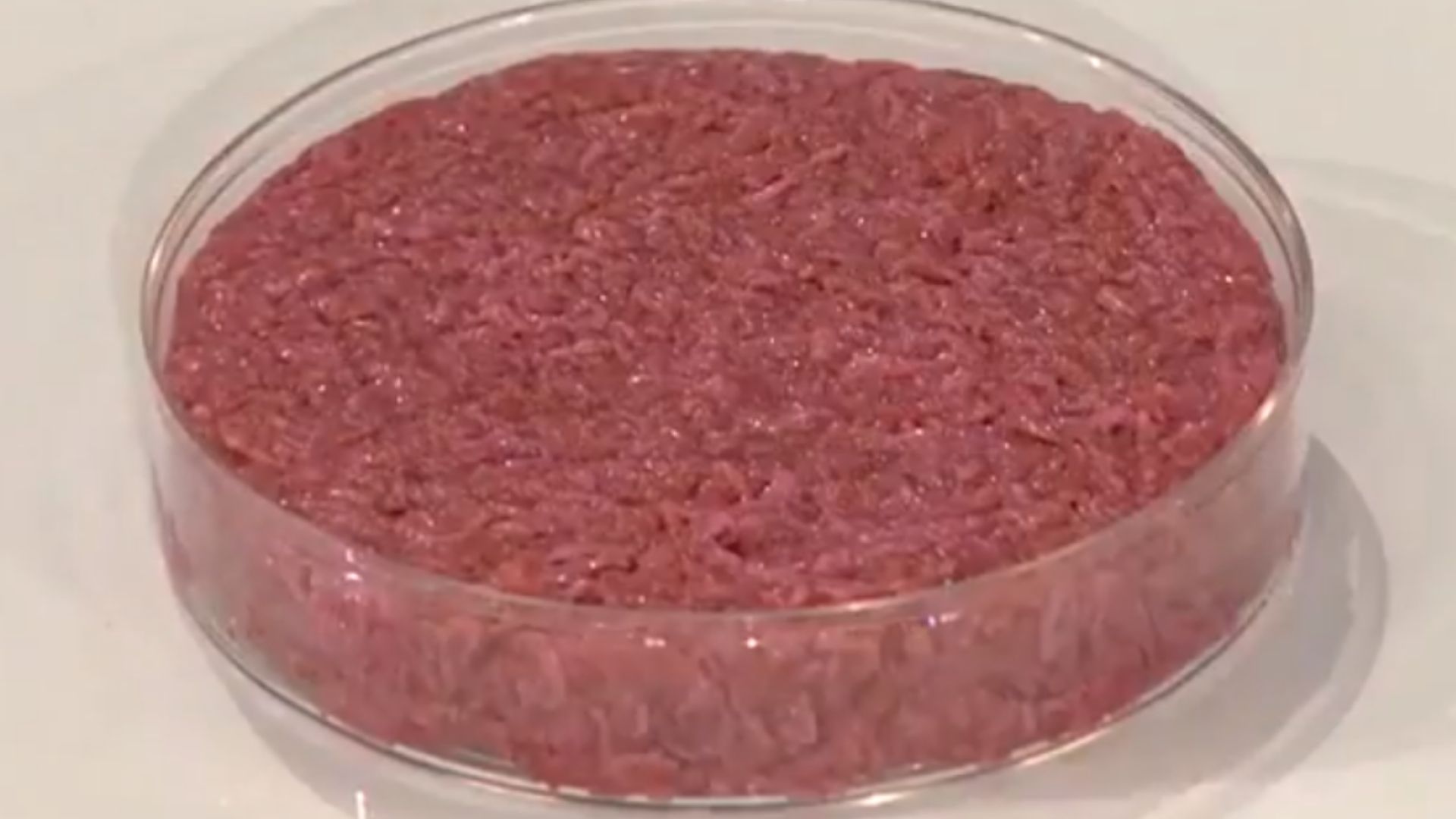 Nuovi alimenti, nuove domande: cosa sappiamo sulla carne coltivata?