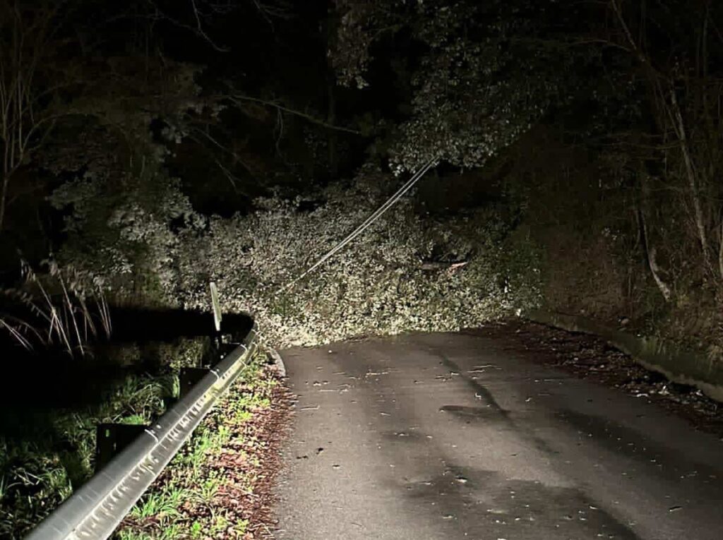 Maltempo, albero cade nella notte: chiusa la strada tra San Severino e Foria di Centola