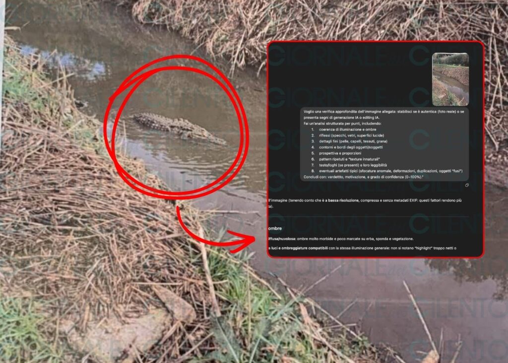 Alligatore a Capaccio: abbiamo chiesto a ChatGPT una verifica approfondita dell’immagine