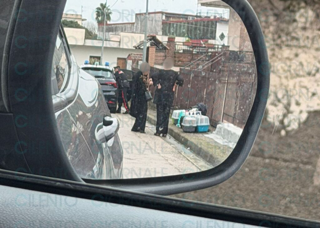 Vallo della Lucania, noleggia auto con raggiro e sparisce: carabinieri fermano una 63enne