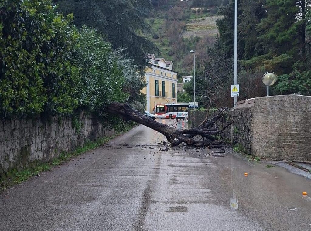 Pellezzano, albero cade sulla SP 27: strada chiusa al traffico