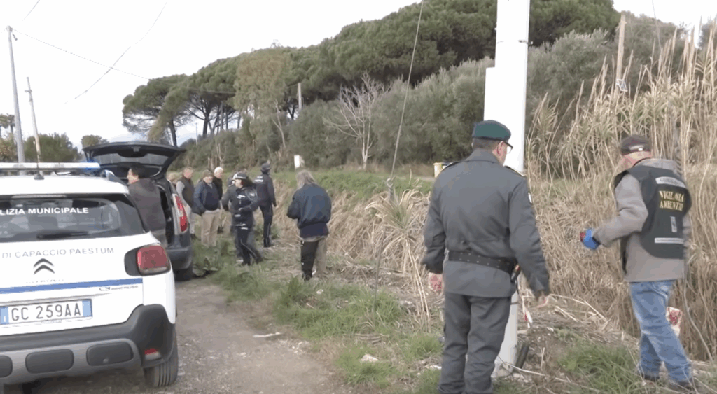 Paestum, esche e droni per stanare l’alligatore: dubbi su autenticità immagine