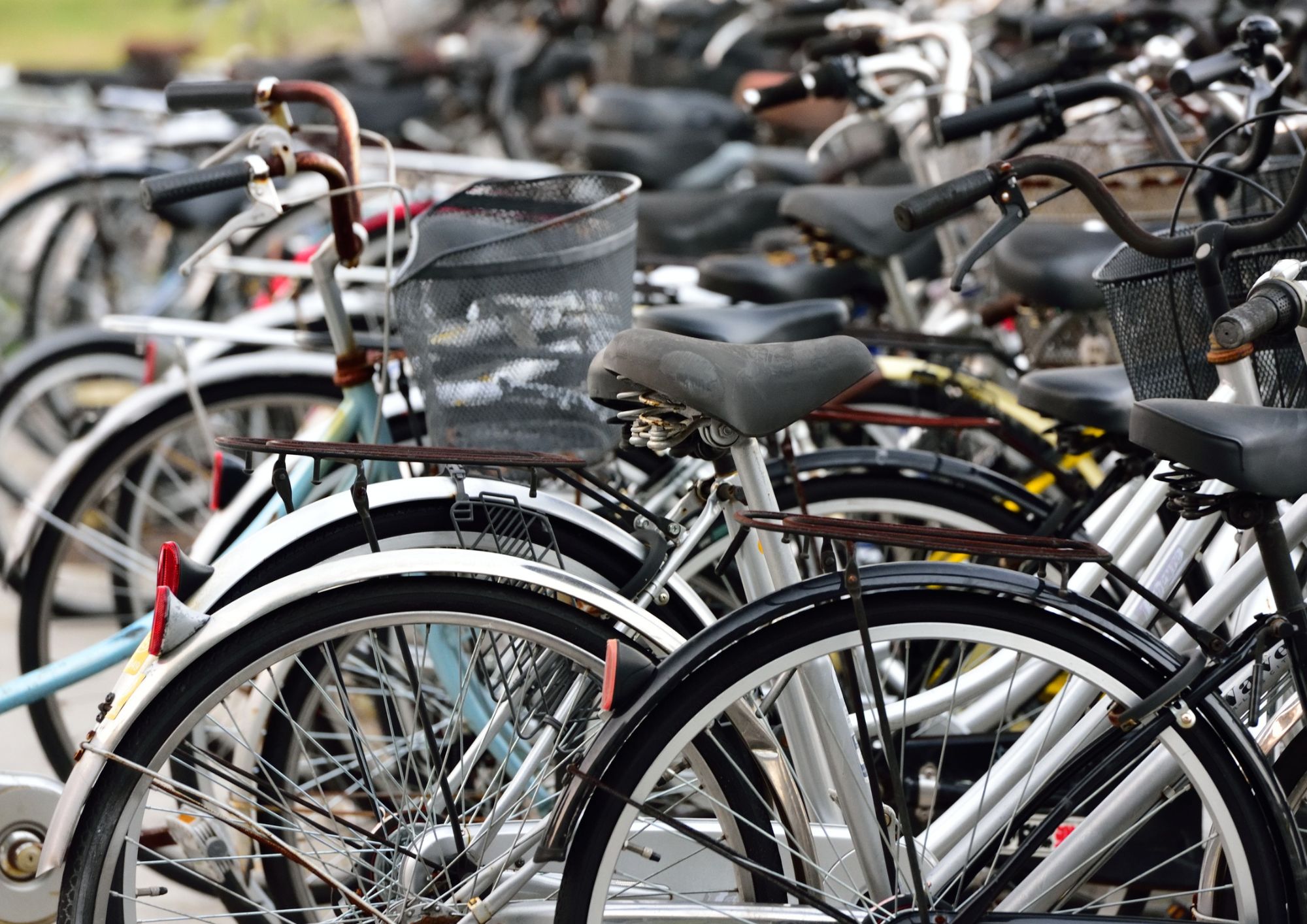 Codice della strada e biciclette: le regole da rispettare per pedalare in sicurezza