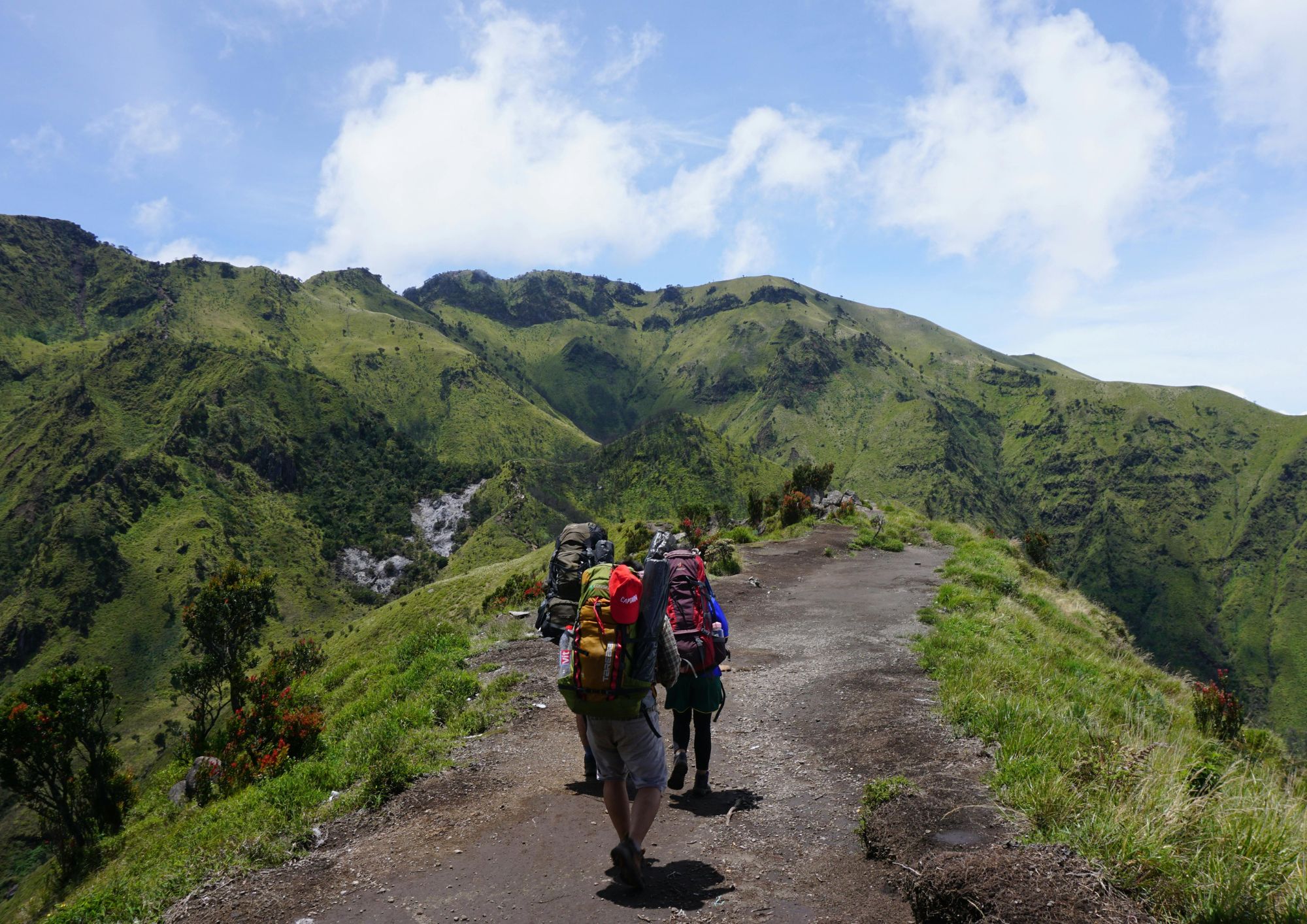 Cinque cammini italiani da non perdere: dal Cilento alla Sardegna, storia, fede e natura a piedi