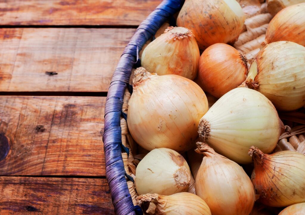 La cipolla, regina della cucina italiana: tre ricette per riscoprirne il gusto