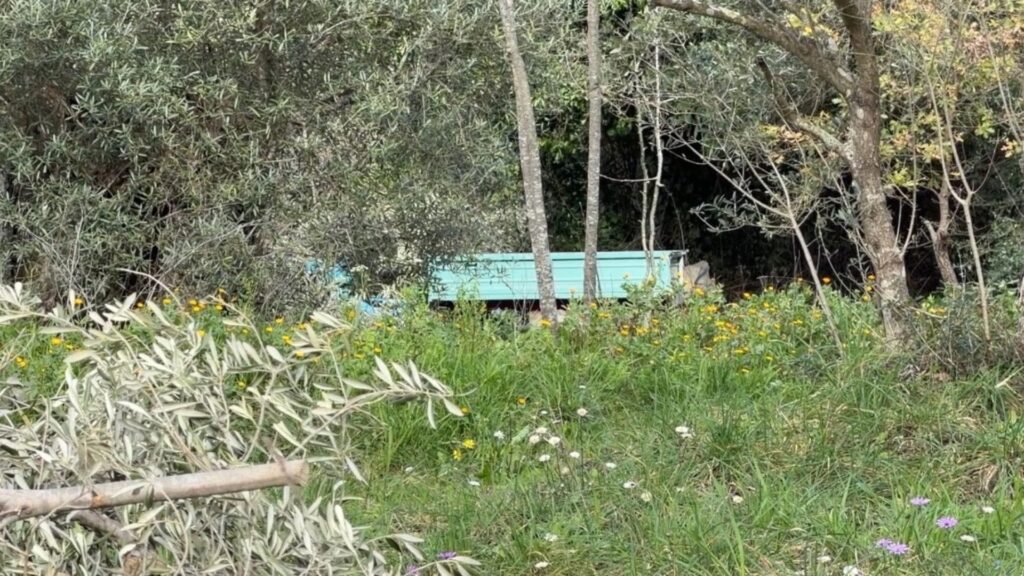 Tragedia nelle campagne del Cilento: 83enne stroncato da un malore