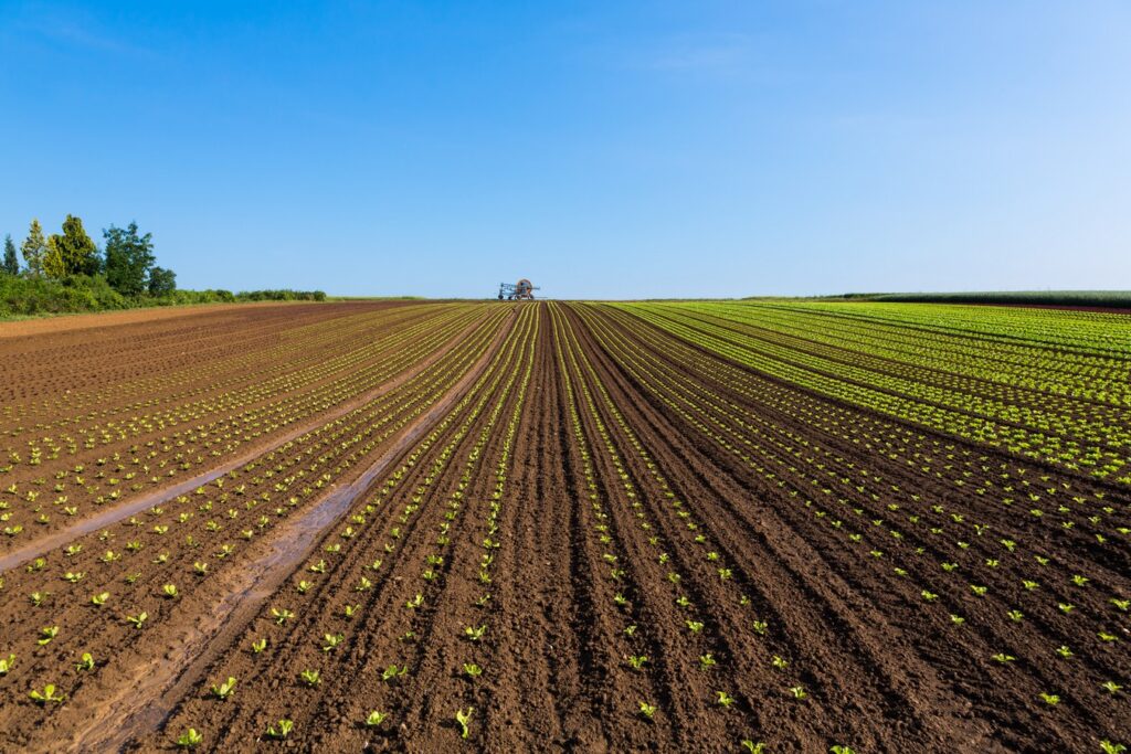 Campania rurale, 60 comuni al centro di un grande piano per le strade agricole