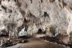 Riaprono le grotte di Pertosa-Auletta, il geologo Mario Tozzi inaugura nuova stagione