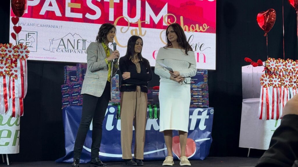 Paestum Cat Show: esposizione felina il 14 e 15 febbraio tra fusa e amore per i gatti