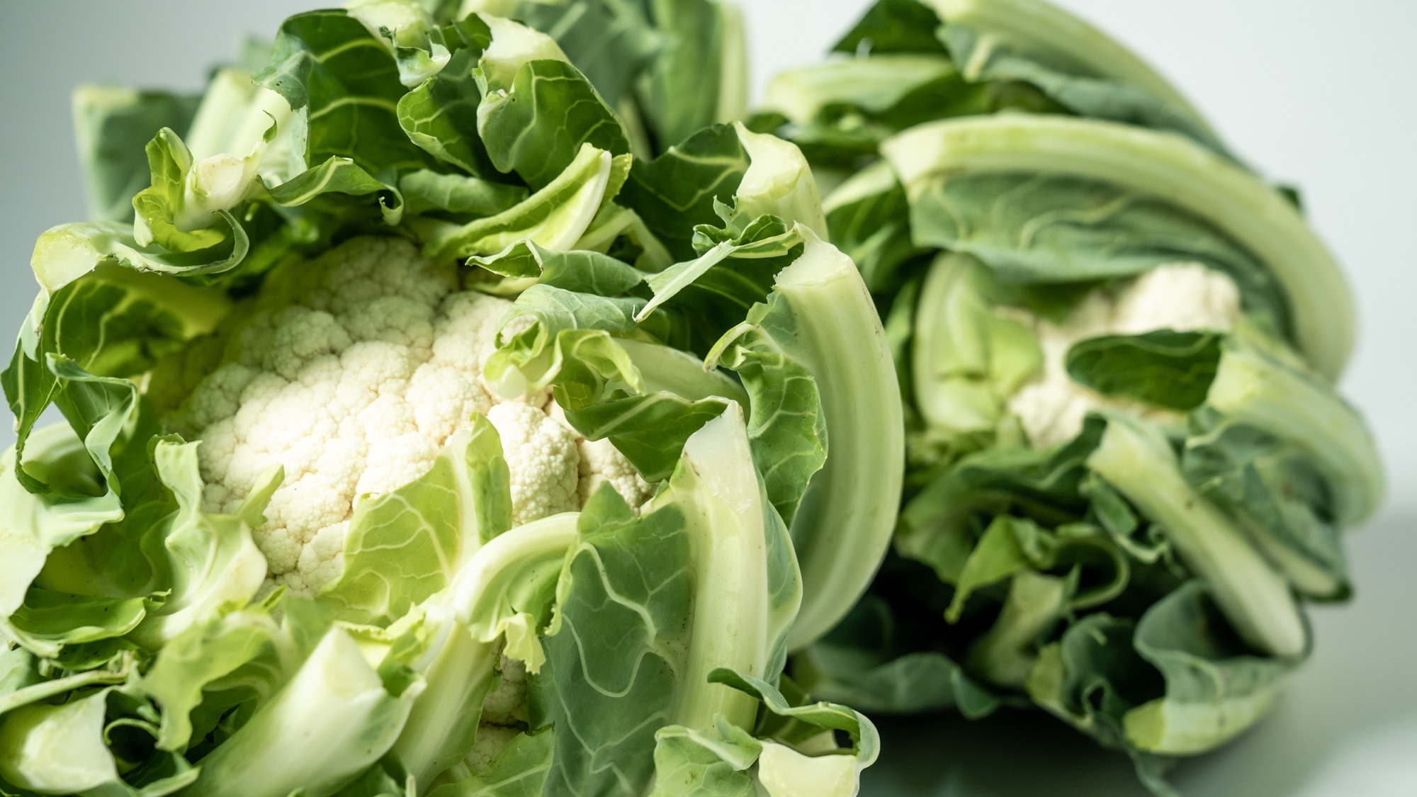 Un ortaggio, un territorio: così il cavolfiore del Sele conquista la tutela europea