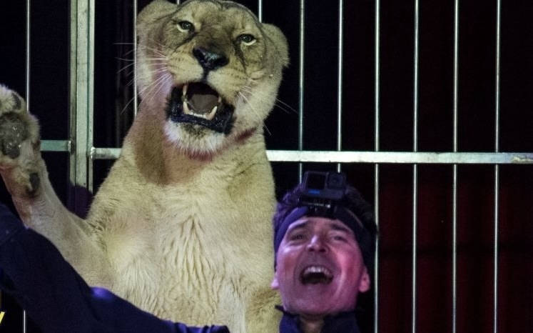Addio agli animali per il Circo Orfei, nuova era per la storica famiglia circense