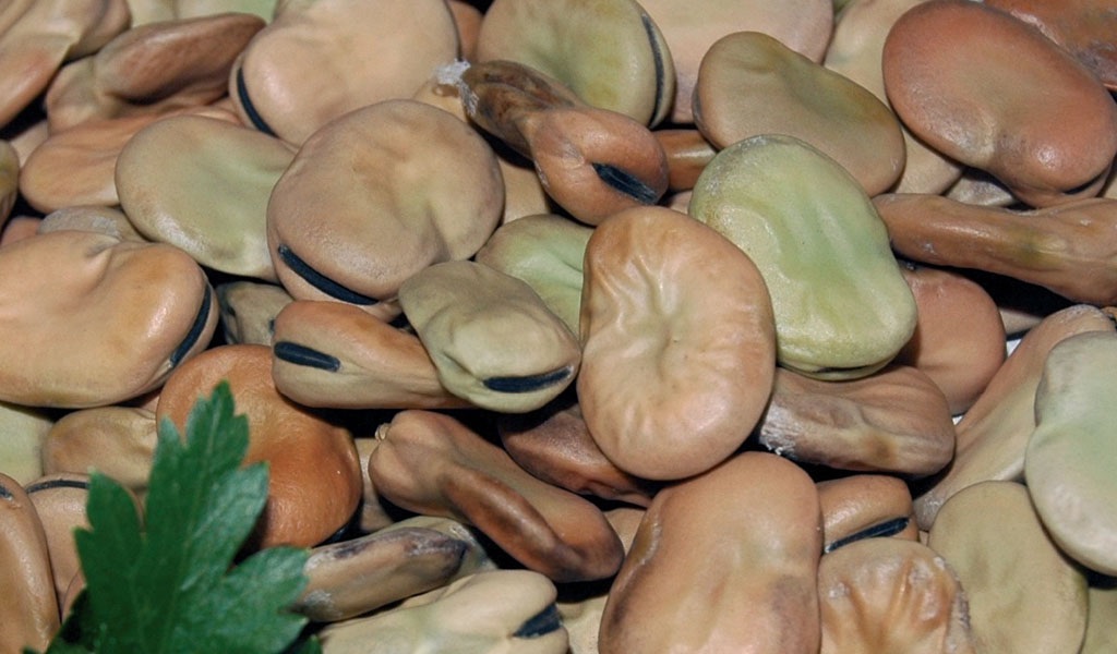 I sapori dei&nbsp;Campi Flegrei, tra terra ardente e mare generoso